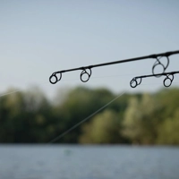 Daiwa Whisker X45 Carp Rods